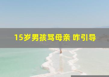 15岁男孩骂母亲 咋引导